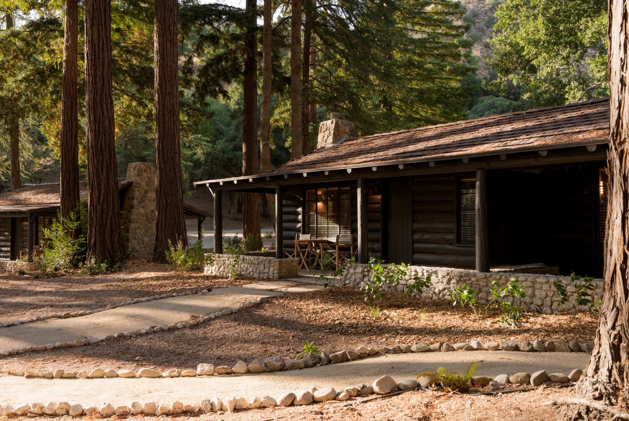 A cabin under the redwoods
