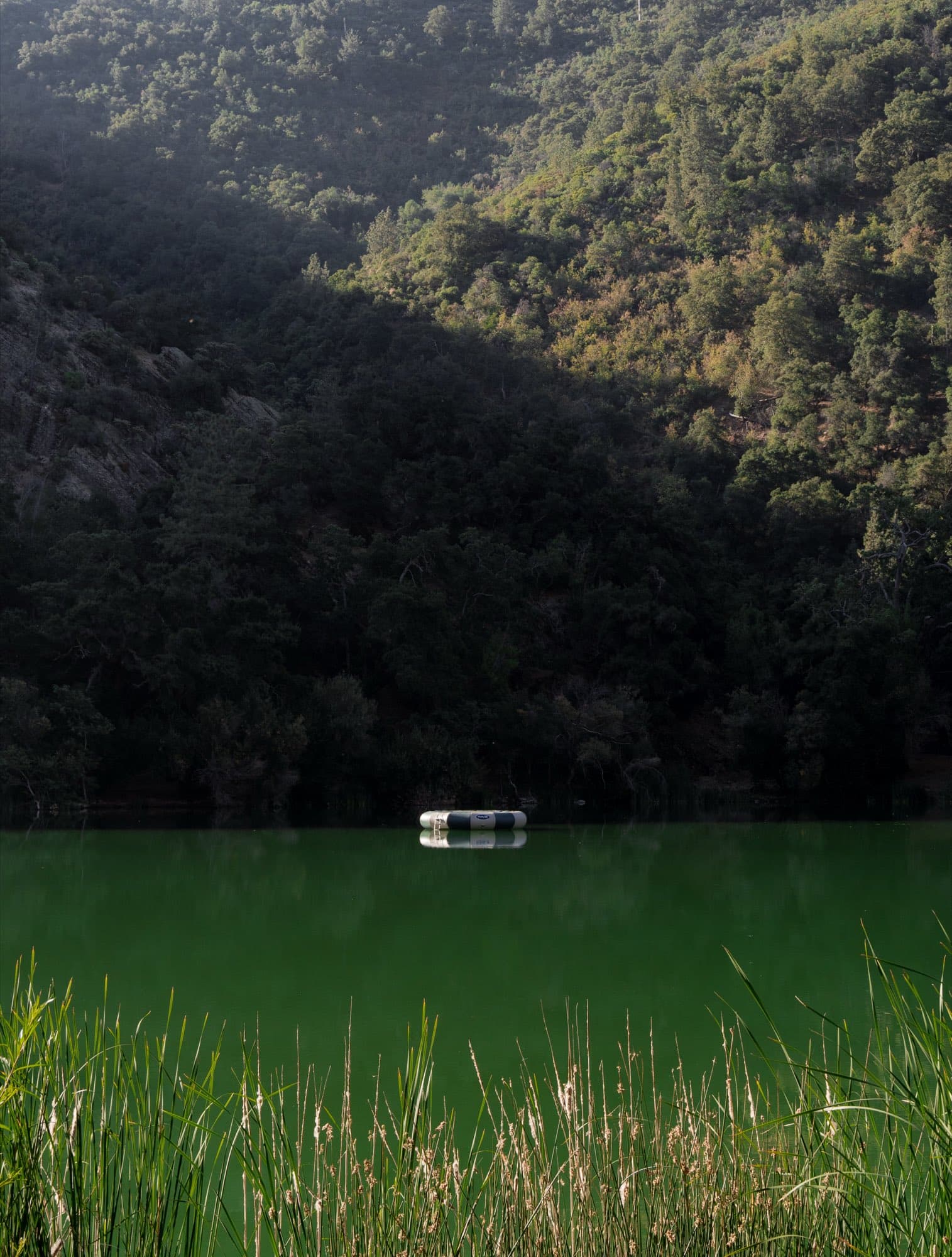 The swim platform out on the green water