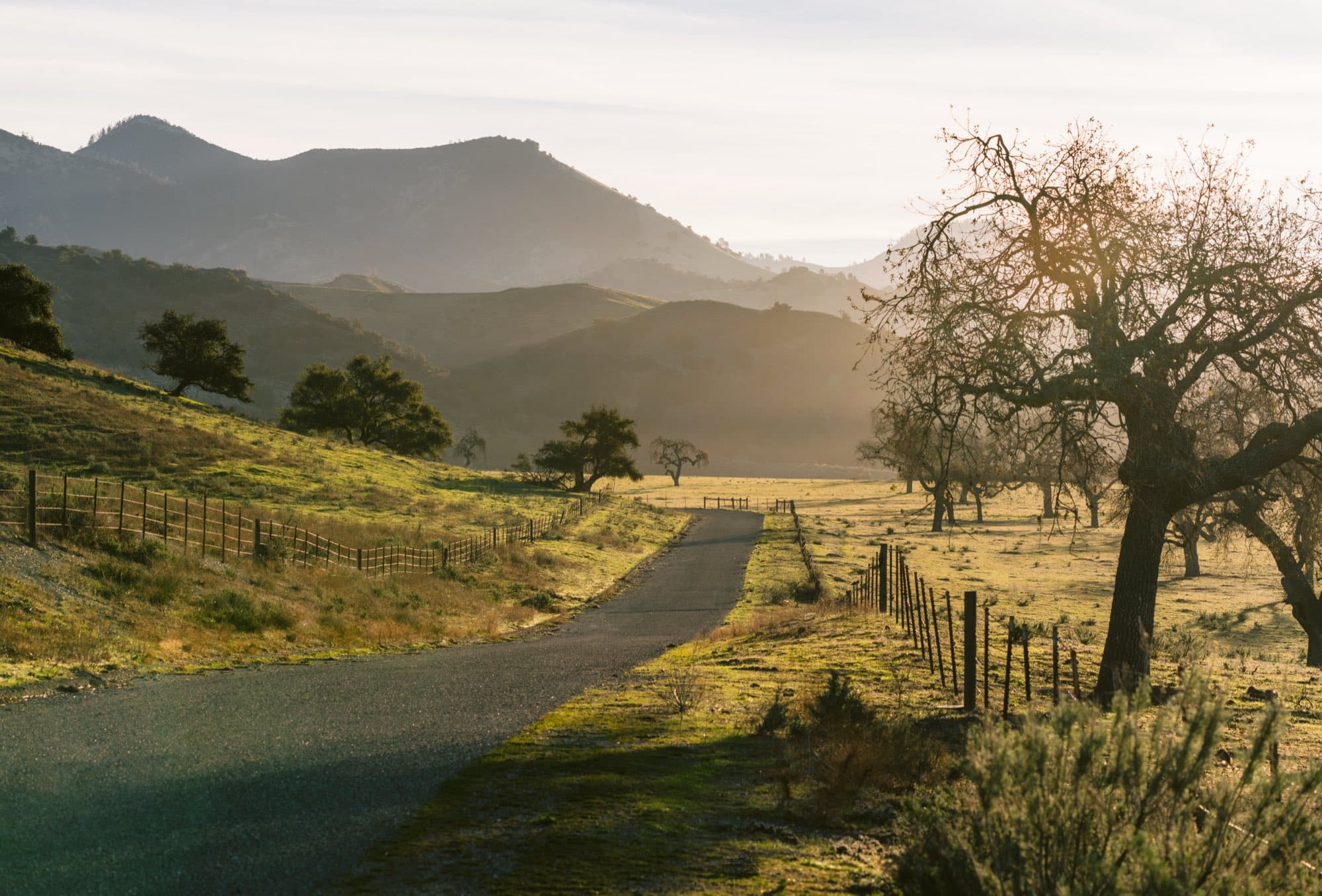 The ranch road in at first light, Foxen Canyon
